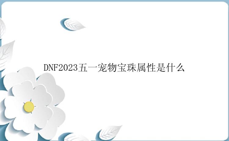 DNF2023五一宠物宝珠属性是什么