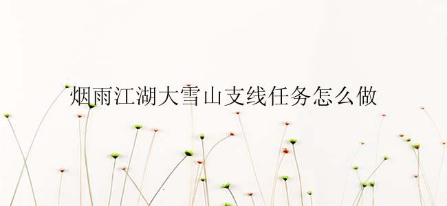 烟雨江湖大雪山支线任务怎么做