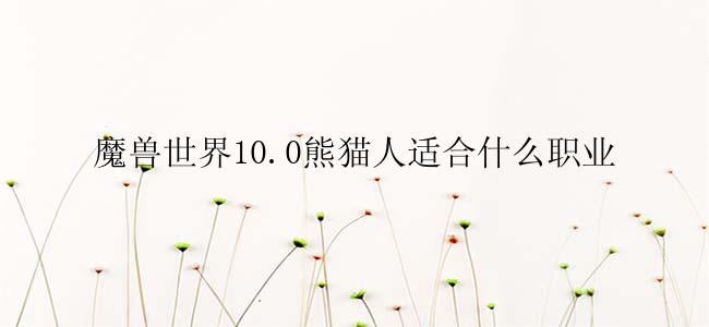 魔兽世界10.0熊猫人适合什么职业