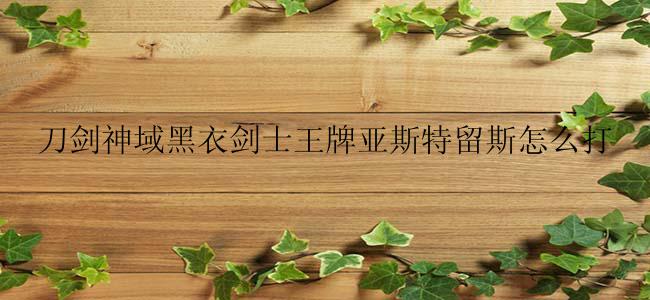 刀剑神域黑衣剑士王牌亚斯特留斯怎么打