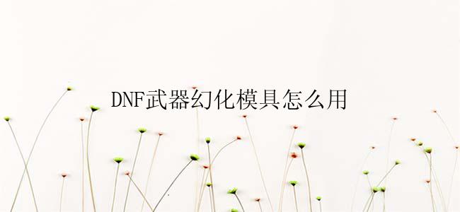 DNF武器幻化模具怎么用