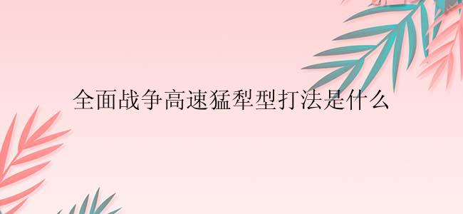 全面战争高速猛犁型打法是什么