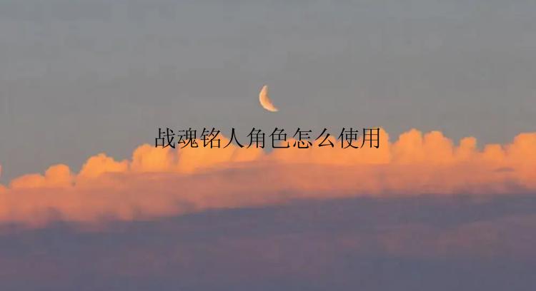 战魂铭人角色怎么使用