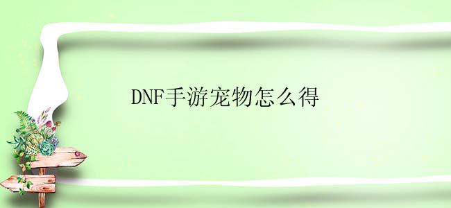DNF手游宠物怎么得