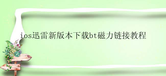 ios迅雷新版本下载bt磁力链接教程