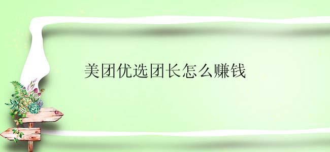 美团优选团长怎么赚钱