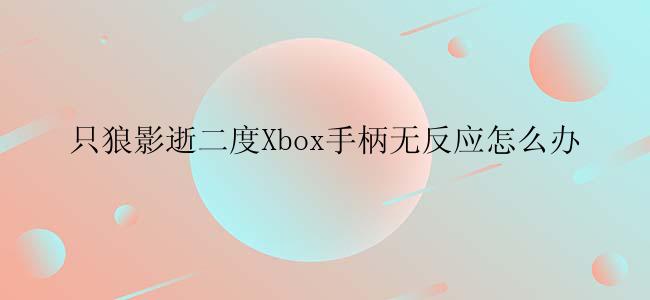 只狼影逝二度Xbox手柄无反应怎么办