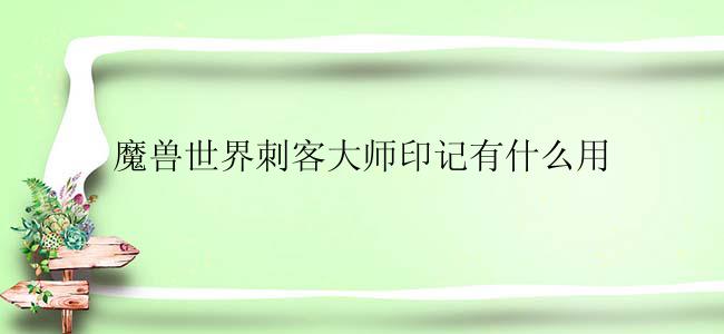 魔兽世界刺客大师印记有什么用