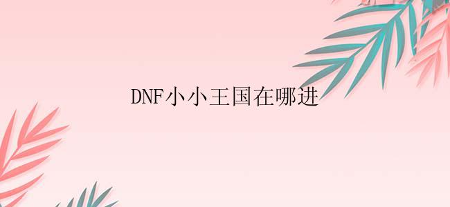 DNF小小王国在哪进