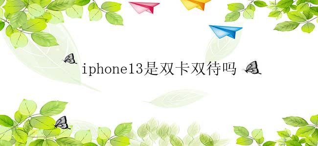 iphone13是双卡双待吗