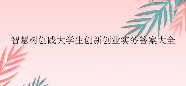智慧树创践大学生创新创业实务答案大全