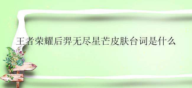 王者荣耀后羿无尽星芒皮肤台词是什么
