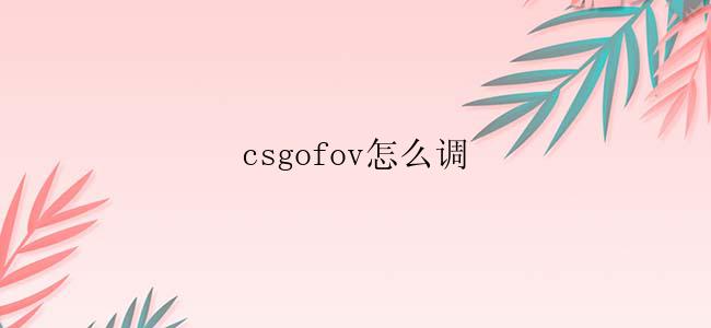 csgofov怎么调