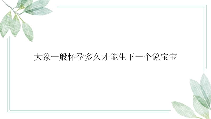 大象一般怀孕多久才能生下一个象宝宝