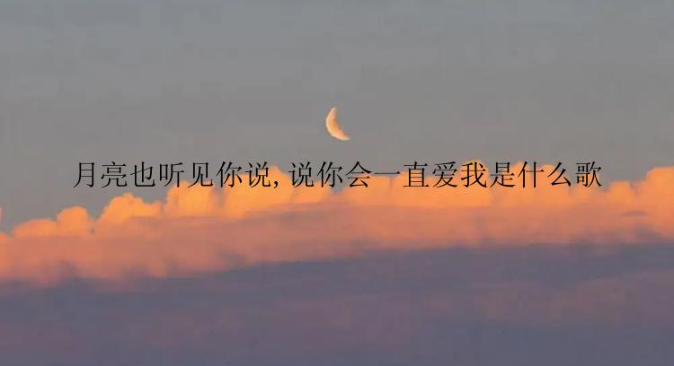 月亮也听见你说,说你会一直爱我是什么歌