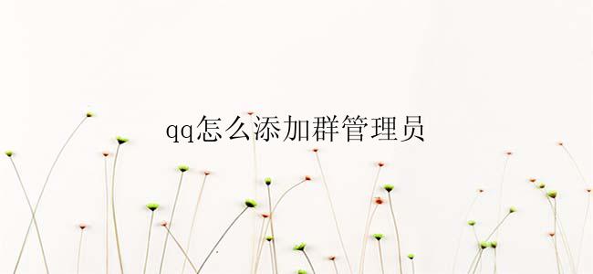 qq怎么添加群管理员
