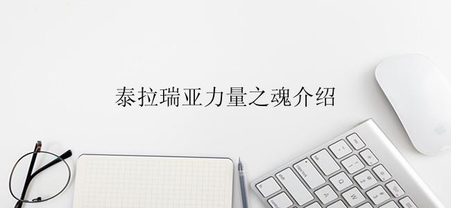 泰拉瑞亚力量之魂介绍