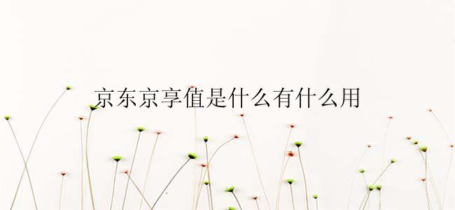 京东京享值是什么有什么用