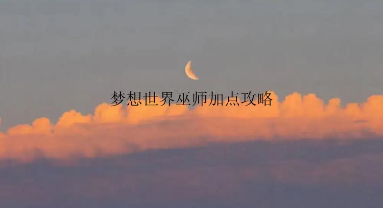 梦想世界巫师怎么加点？