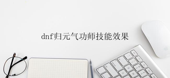 dnf归元气功师技能效果