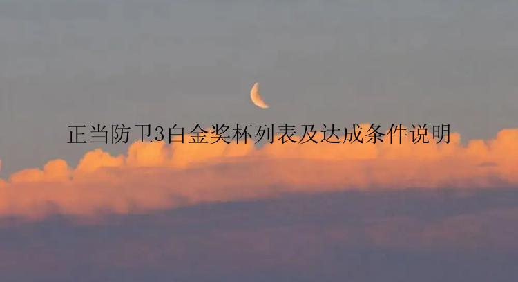 正当防卫3白金奖杯列表及达成条件说明