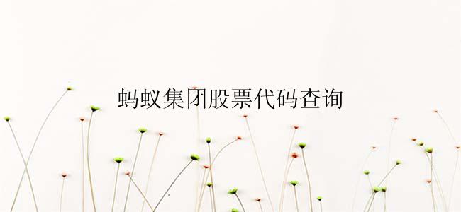 蚂蚁集团股票代码查询