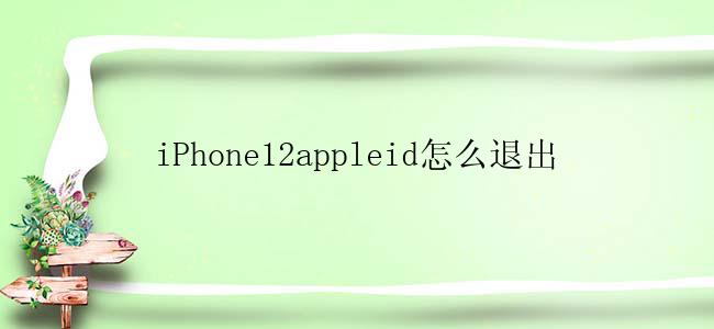 iPhone12appleid怎么退出