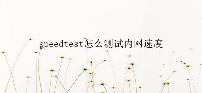 speedtest怎么测试内网速度