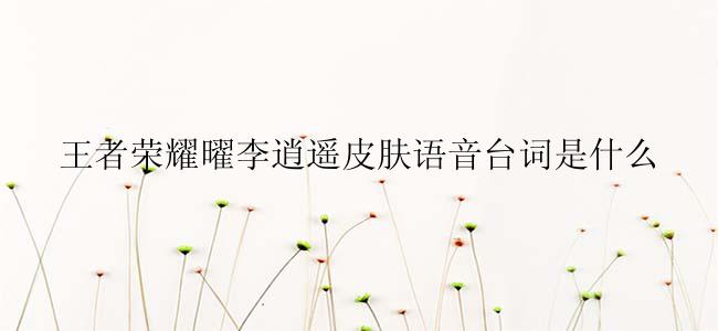 王者荣耀曜李逍遥皮肤语音台词是什么