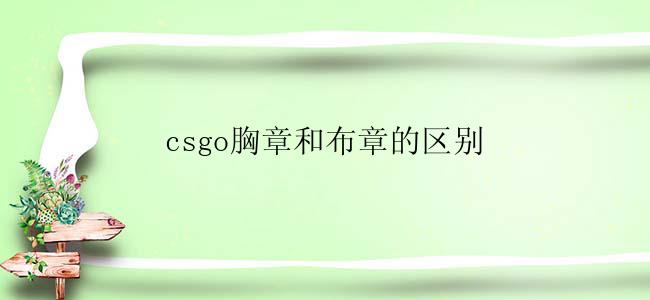 csgo胸章和布章的区别