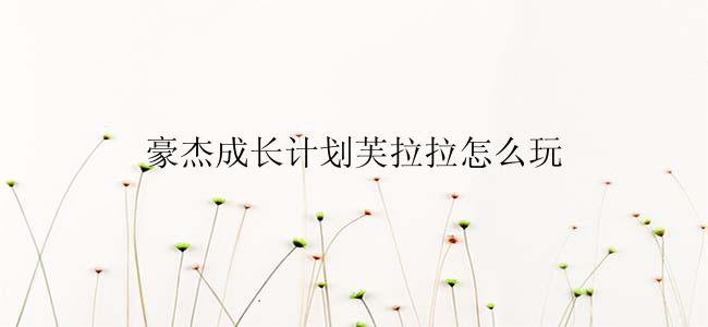 豪杰成长计划芙拉拉怎么玩