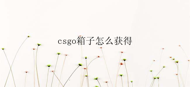 csgo箱子怎么获得