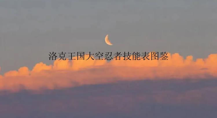 洛克王国大空忍者技能表图鉴