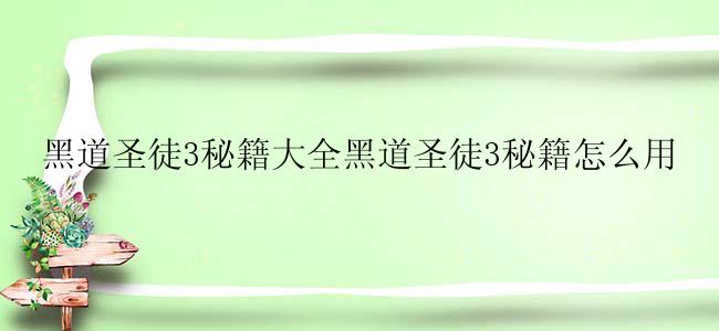 黑道圣徒3秘籍大全黑道圣徒3秘籍怎么用