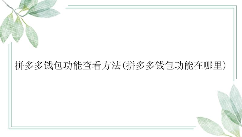 拼多多钱包功能查看方法(拼多多钱包功能在哪里)