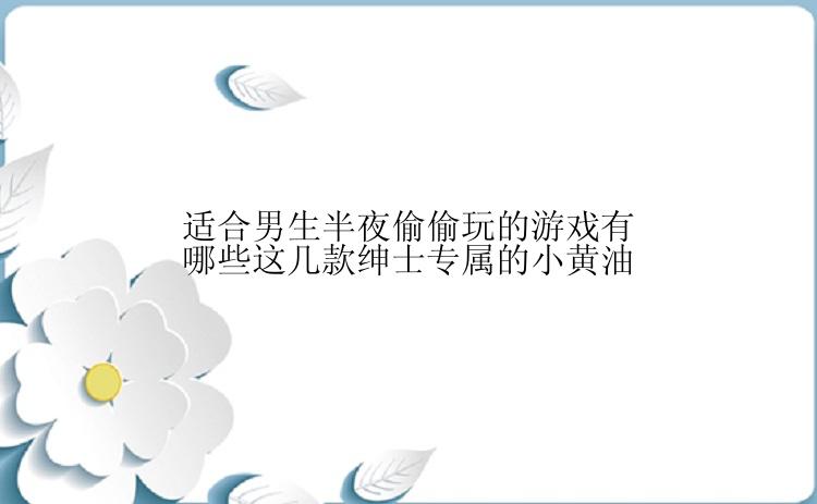 适合男生半夜偷偷玩的游戏有哪些这几款绅士专属的小黄油