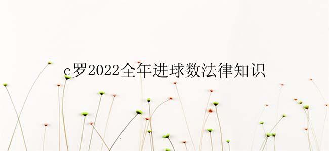 c罗2022全年进球数法律知识