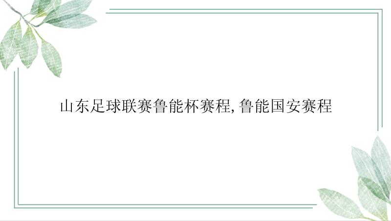 山东足球联赛鲁能杯赛程,鲁能国安赛程