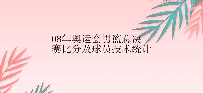 08年奥运会男篮总决赛比分及球员技术统计