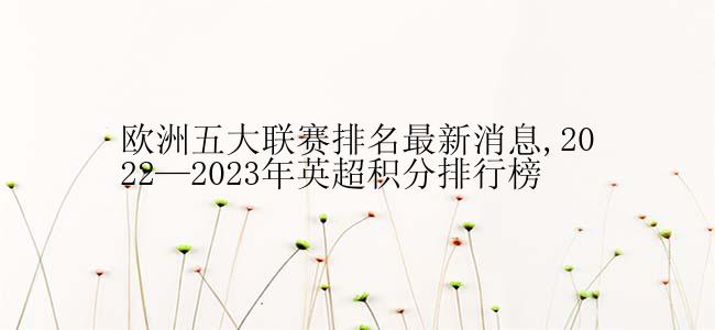 欧洲五大联赛排名最新消息,2022—2023年英超积分排行榜