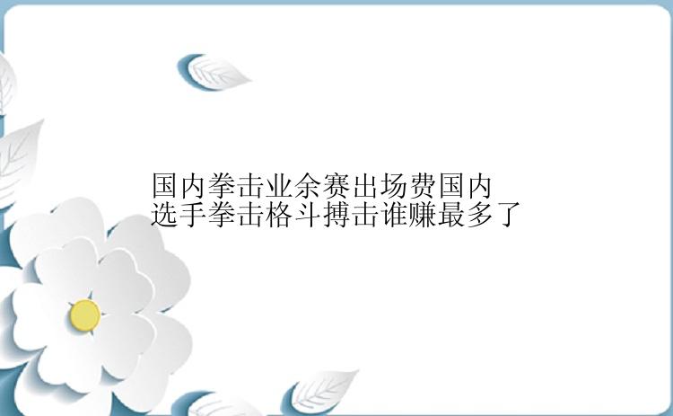 国内拳击业余赛出场费国内选手拳击格斗搏击谁赚最多了